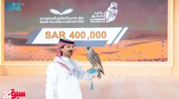 صقر طرح جازان يحصد 100 ألف ريال بمزاد نادي الصقور السعودي